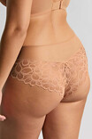 Трусики бріфи Panache Allure 10764